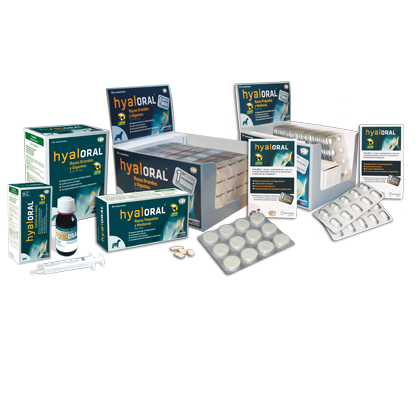 Hyaloral®