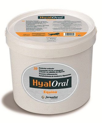 Hyaloral® Horses